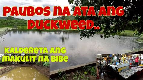 naubos ang pasensya in english|UBOS: Tagalog.